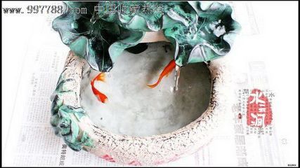 風(fēng)水學(xué)不宜養(yǎng)魚(yú)缸的幾種人：根據(jù)風(fēng)水學(xué)不宜養(yǎng)魚(yú)缸的人 魚(yú)缸百科 第1張