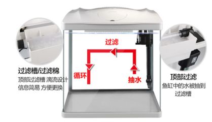 選擇定制魚缸還是成品魚缸時(shí)需要考慮多個(gè)因素：定制魚缸好還是成品魚缸好？ 魚缸百科 第4張