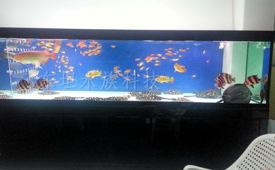 廣州魚缸定做廠家推薦：廣州水族魚缸定做廠家：魚缸定做廠家的產(chǎn)品質(zhì)量和服務(wù) 魚缸百科 第1張