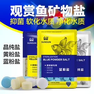 魚缸過濾器的工作原理：diy魚缸過濾系統(tǒng)維護魚缸過濾系統(tǒng)是確保水質穩(wěn)定的關鍵 魚缸百科 第2張