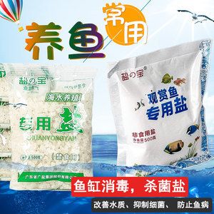 魚缸過濾器的工作原理：diy魚缸過濾系統(tǒng)維護魚缸過濾系統(tǒng)是確保水質穩(wěn)定的關鍵 魚缸百科 第3張