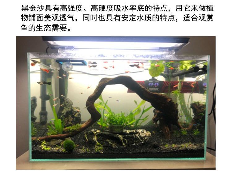 黑金沙魚(yú)缸造景的優(yōu)缺點(diǎn)：黑金沙魚(yú)缸造景的優(yōu)缺點(diǎn)：黑金沙魚(yú)缸造景優(yōu)缺點(diǎn) 魚(yú)缸百科 第1張