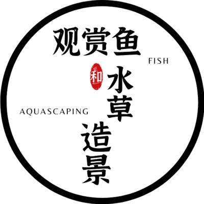 魚缸擺放位置的科學(xué)原理：家居風(fēng)水魚缸擺放位置 魚缸百科 第4張