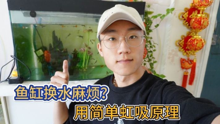 魚缸換水頻率的科學依據(jù)：給魚缸換水的幾種快速方法 魚缸百科 第1張