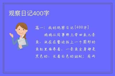 魚缸生態(tài)的構(gòu)建：觀察小金魚的樂趣 魚缸百科 第1張