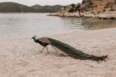 紅鯉魚魚缸水溫調(diào)節(jié)到22-24度，水溫調(diào)節(jié)到22-24度：如何科學(xué)調(diào)節(jié)紅鯉魚的水溫 魚缸百科 第3張