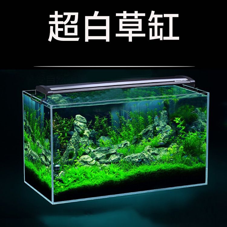 裸缸養(yǎng)魚的藝術(shù)裸缸養(yǎng)魚以其簡潔明快的風(fēng)格吸引了不少魚友：裸缸與造景缸的區(qū)別 魚缸百科 第3張