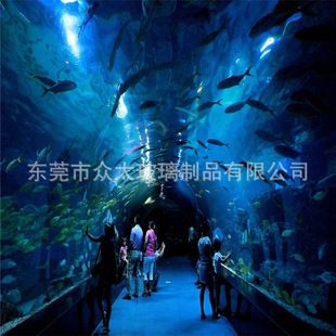 廣州越美水族魚缸是否使用鋼化玻璃：廣州越美水族魚缸安全標(biāo)準(zhǔn)了解魚缸安全標(biāo)準(zhǔn)對于選擇