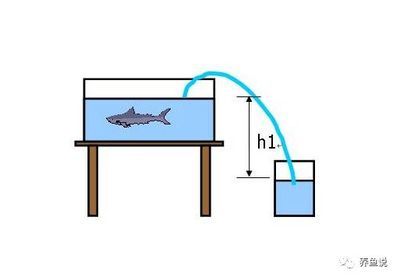 魚缸水質(zhì)管理的全面指南：w魚缸底砂過濾系統(tǒng)搭建高效的底砂過濾系統(tǒng)搭建方案 魚缸百科 第4張