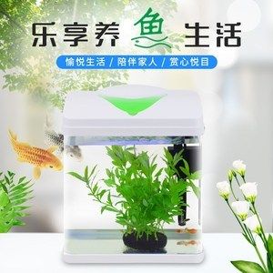 海霸魚缸質(zhì)量怎么樣：海霸魚缸與其他品牌對比海霸魚缸養(yǎng)護技巧分享 魚缸百科 第3張