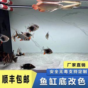 如何改變魚缸的底色：diy魚缸底材改造魚缸底色的改造方法和注意事項 魚缸百科 第1張