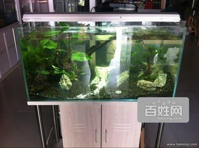 超白魚缸的價(jià)格是多少：定制超白魚缸價(jià)格 魚缸百科 第1張