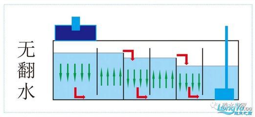 底濾魚缸過濾系統(tǒng)的清洗步驟和注意事項和注意事項：如何正確清洗底濾魚缸 魚缸百科 第2張
