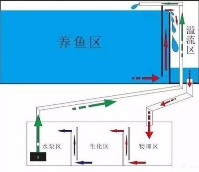 魚缸溢流區(qū)下水聲音大怎么辦？：底濾魚缸溢流區(qū)下水聲音大可能是由于水流沖擊溢流管共振產(chǎn)生的 魚缸百科 第3張