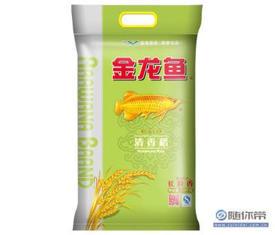 金龍魚品種分類詳解-金龍魚品種分類詳解：如何區(qū)分金龍魚的品種及種？