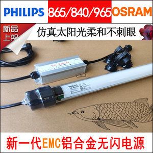 養(yǎng)龍魚賺錢嗎？：養(yǎng)殖龍魚的成本與利潤360問答360問答 龍魚百科