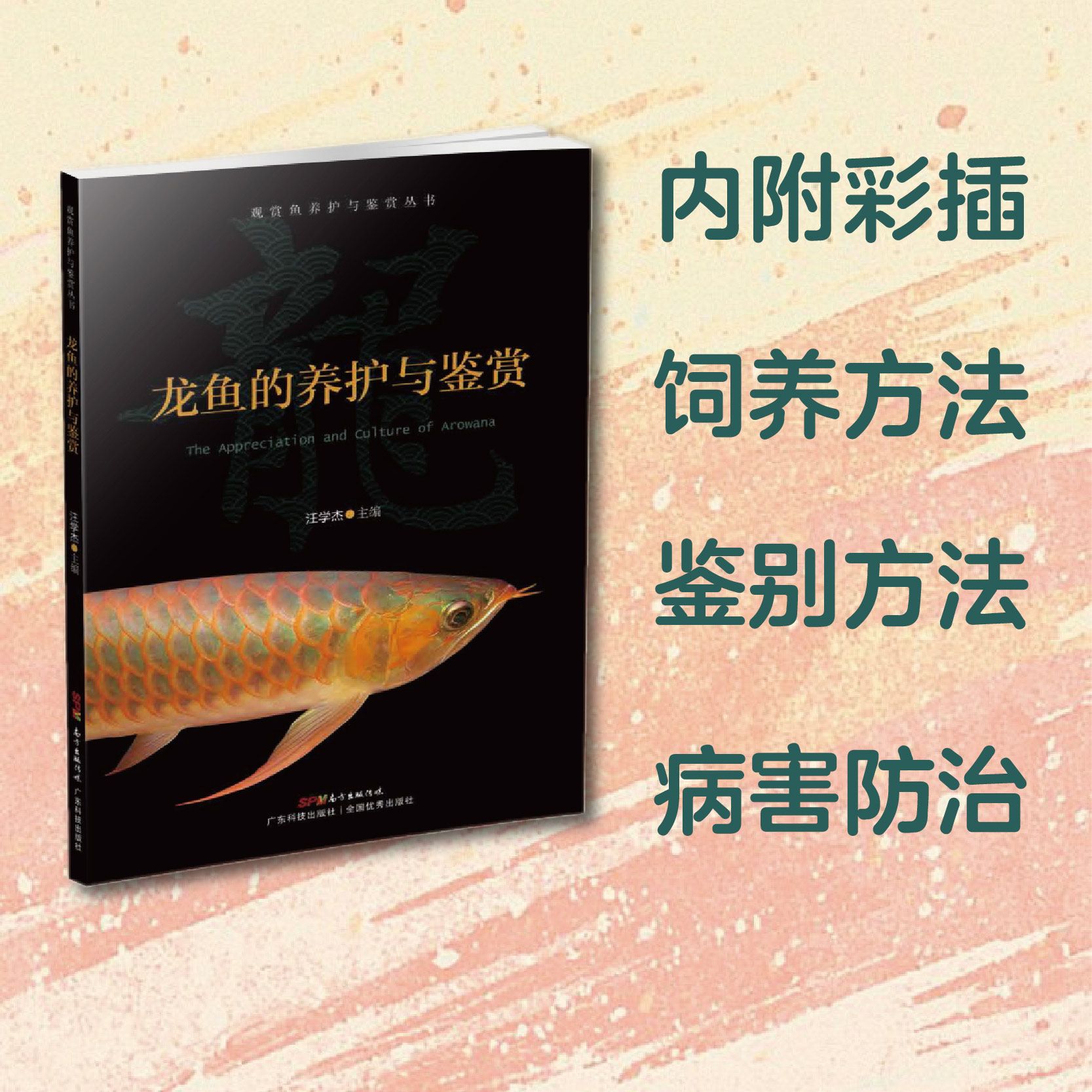 養(yǎng)龍魚賺錢嗎？：養(yǎng)龍魚是否賺錢取決于多種因素 龍魚百科 第3張