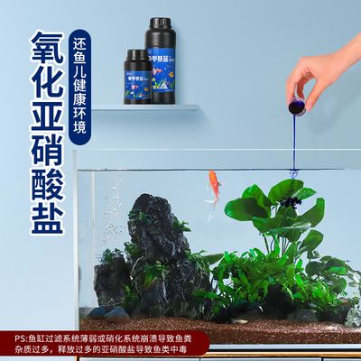 魚缸得過水霉病的魚缸消毒方法和注意事項和注意事項：得過水霉病的魚缸消毒方法和注意事項和注意事項和注意事項