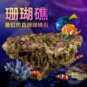 如何打造夢幻的海景魚缸：如何打造夢幻海景魚缸 魚缸百科 第4張