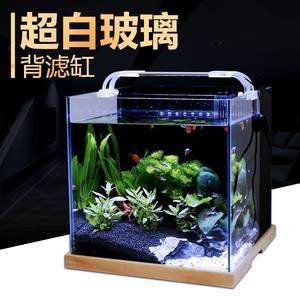 海水魚缸維護(hù)全攻略想要維持一個(gè)健康的海水魚缸，除了換水技巧外：關(guān)于海水魚缸換水技巧的問題 魚缸百科 第3張