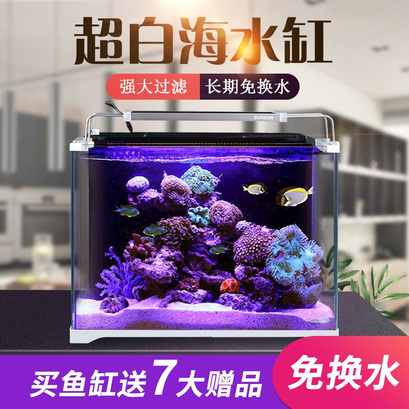 海水魚缸維護(hù)全攻略想要維持一個(gè)健康的海水魚缸，除了換水技巧外：關(guān)于海水魚缸換水技巧的問題 魚缸百科 第1張