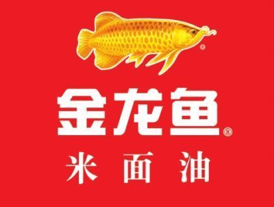 夸贊金龍魚的簡(jiǎn)短句子：日字加一筆,寫出12個(gè)獎(jiǎng)金龍魚一條：夸贊金龍魚的優(yōu)美句子：日字加一筆,寫出12個(gè)獎(jiǎng)金龍魚一條 龍魚百科 第3張