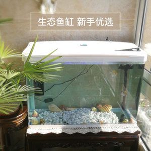 如果你對(duì)魚缸的設(shè)計(jì)和建造感興趣：華陽魚缸生態(tài)系統(tǒng) 魚缸百科 第3張