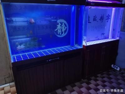 魚(yú)缸十大品牌推薦魚(yú)缸十大品牌排行榜前十名知乎專欄：高檔魚(yú)缸品牌推薦 魚(yú)缸百科 第4張