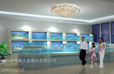 海鮮店的魚缸為了保證海鮮的質(zhì)量和展示效果，需要配備一系列的設(shè)備：海鮮店的海鮮缸設(shè)計 魚缸百科 第4張