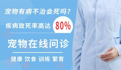 訓練龍魚吃飼料是一個逐步的過程，需要耐心和恰當的技巧：如何讓龍魚改口吃人工飼料 龍魚百科 第1張