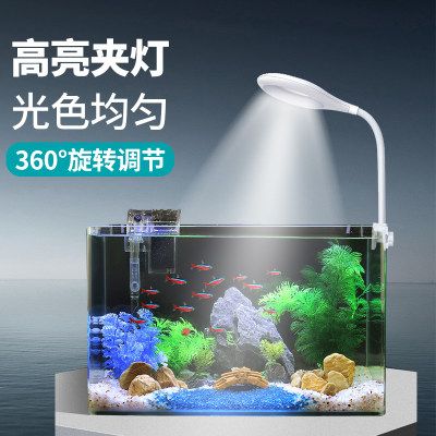 觀賞魚缸燈的使用方法：關于觀賞魚缸燈的一些建議 魚缸百科 第2張