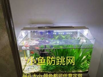 觀賞魚缸品牌排行榜：森森sunsun品牌排行榜：水族品牌排行榜