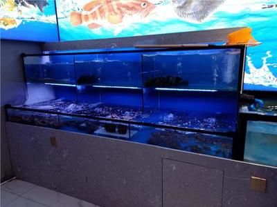 冠縣賣魚缸的地方在哪里有（冠縣水族市場分析） 魚缸百科 第3張