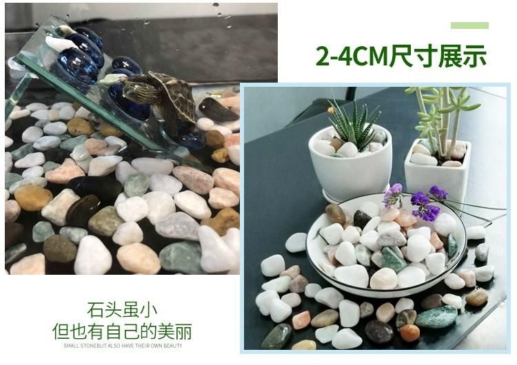 花盆能放魚缸里嗎（如何將花盆放入魚缸中） 魚缸百科 第2張