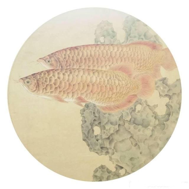 有關(guān)龍魚的詩句有哪些三年級（有關(guān)龍魚的詩句） 龍魚百科 第3張