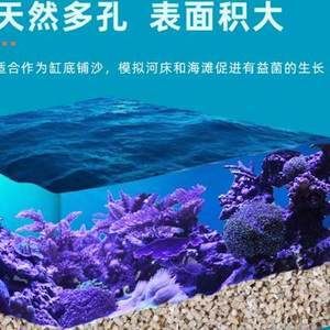 海沙魚缸造景圖（關(guān)于海沙魚缸造景圖的問題） 魚缸百科 第4張