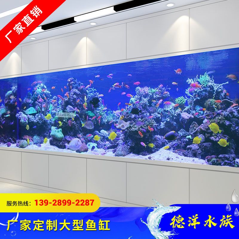 廣漢魚缸定制店（廣漢地區(qū)幾家提供魚缸定制服務(wù)的店鋪）