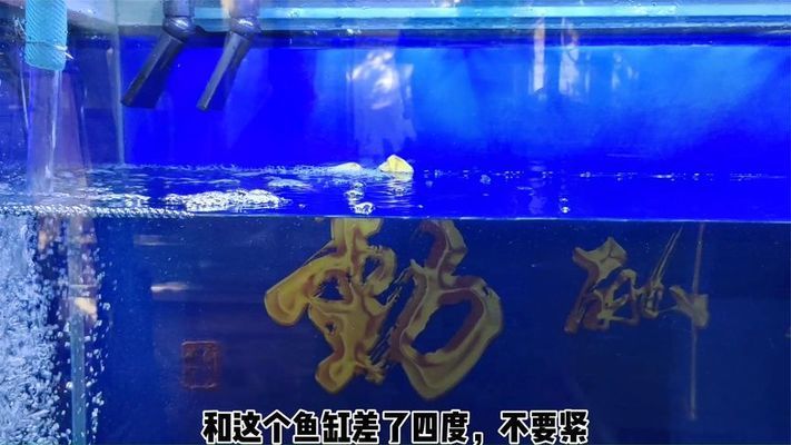 底濾魚缸水泵壞了怎么換（底濾魚缸水泵如何更換） 魚缸百科 第3張