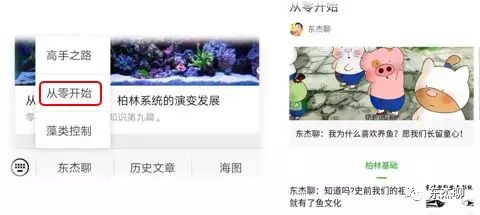 海缸用什么魚缸好呢（如何打造海底世界的迷你版） 魚缸百科 第1張