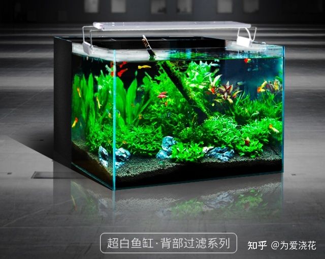 過濾最好的魚缸制作（魚缸過濾系統(tǒng)制作） 魚缸百科 第3張