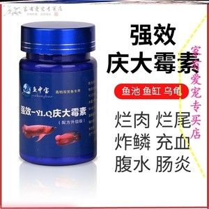 觀賞魚爛尾爛鰭爛鱗用土霉素放魚缸可以嗎（觀賞魚出現(xiàn)爛尾、爛鰭、爛鱗等癥狀怎么辦） 魚缸百科 第3張