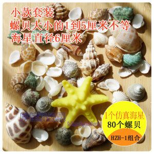 海星魚缸官網(wǎng)旗艦店（海星魚缸官網(wǎng)旗艦店是海星魚缸官網(wǎng)旗艦店的售后服務(wù)） 魚缸百科 第1張