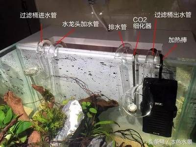 過濾魚缸多久換水一次好（過濾魚缸的換水頻率） 魚缸百科 第1張