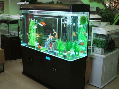 廣州越美水族魚(yú)缸專(zhuān)賣(mài)店（廣州市越美水族魚(yú)缸專(zhuān)賣(mài)店的魚(yú)缸）