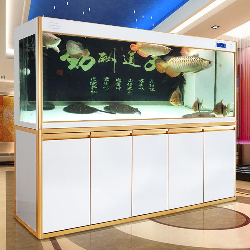 廣州越美水族魚(yú)缸專(zhuān)賣(mài)店（廣州市越美水族魚(yú)缸專(zhuān)賣(mài)店的魚(yú)缸）