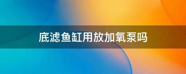 底濾魚缸怎么制作加氧泵（底濾魚缸是否需要加氧氣泵） 魚缸百科 第3張