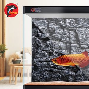 紅色魚魚缸用什么背景（紅色魚魚缸的背景顏色選擇）