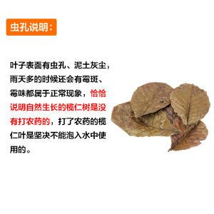 橄欖葉放魚缸能用多久?。ㄩ蠙烊~在魚缸中的使用方法）