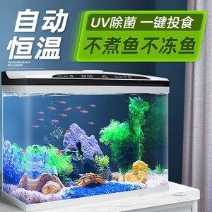 恒溫魚缸怎么換水視頻（關于恒溫魚缸換水的技巧） 魚缸百科 第2張