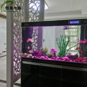 廣州市越美水族魚缸專賣店 魚缸百科 第3張